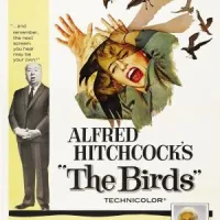 Book vs. Film: The Birds