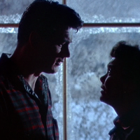Favorite things about... All That Heaven Allows (1955)